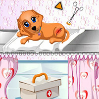 Dog Health Care