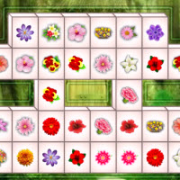 Flower Mahjong Deluxe